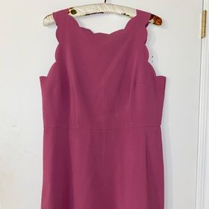 LOFT Pink Scallop Neck Dress